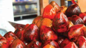 Lee más sobre el artículo Exotic tropical fruits of Colombia